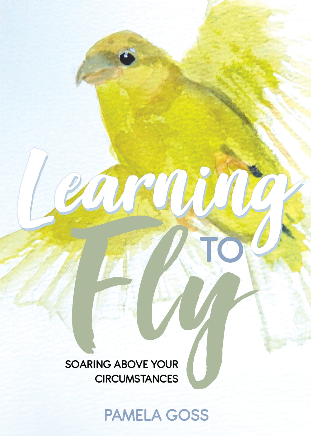 Learning to Fly:<br><small>Soaring above Your Circumstances</small>