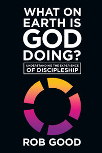 What on Earth Is God Doing?:<br><small> Understanding the Experience of Discipleship</small>