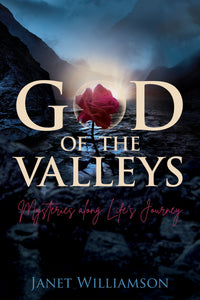 God of the Valleys: <br><small>Mysteries along Life's Journey</small>