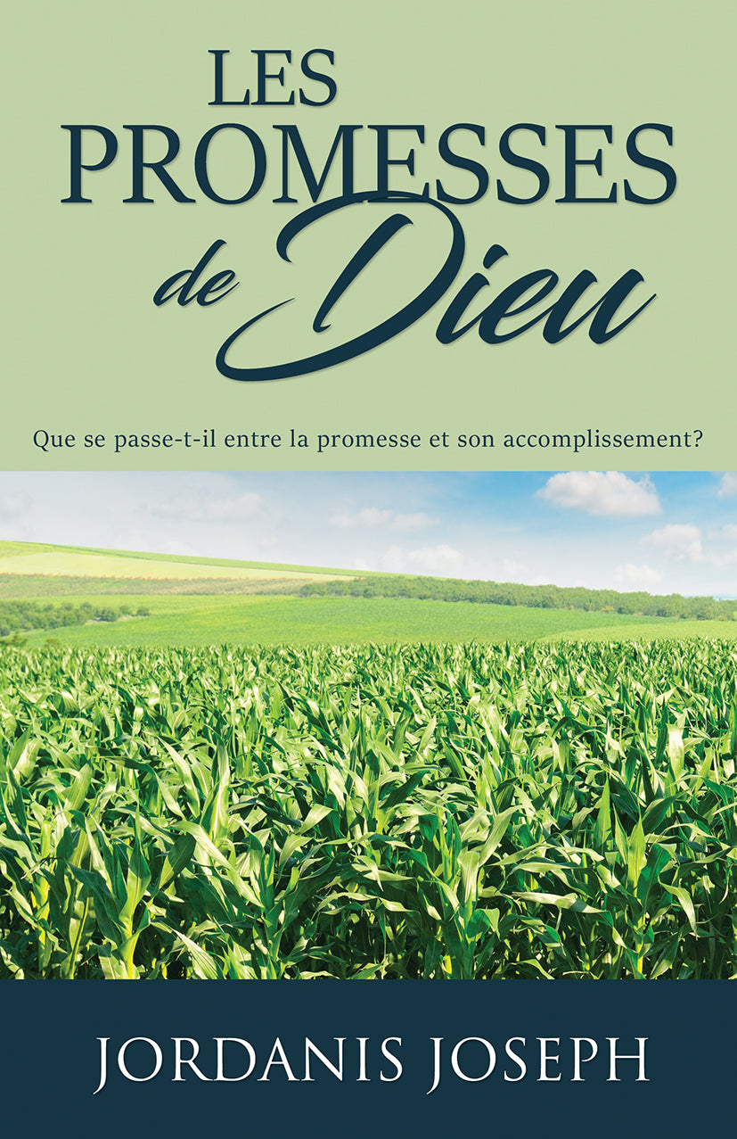 Les Promesses De Dieu: <br><small>Que se passe-t-il entre la promesse et son accomplissement?</small>