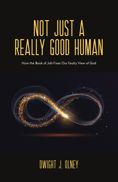 Not Just a Really Good Human:<br><small>How the Book of Job Fixes Our Faulty View of God</small>