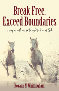 Break Free, Exceed Boundaries: <br><small>Living a Limitless Life through the Love of God</small>