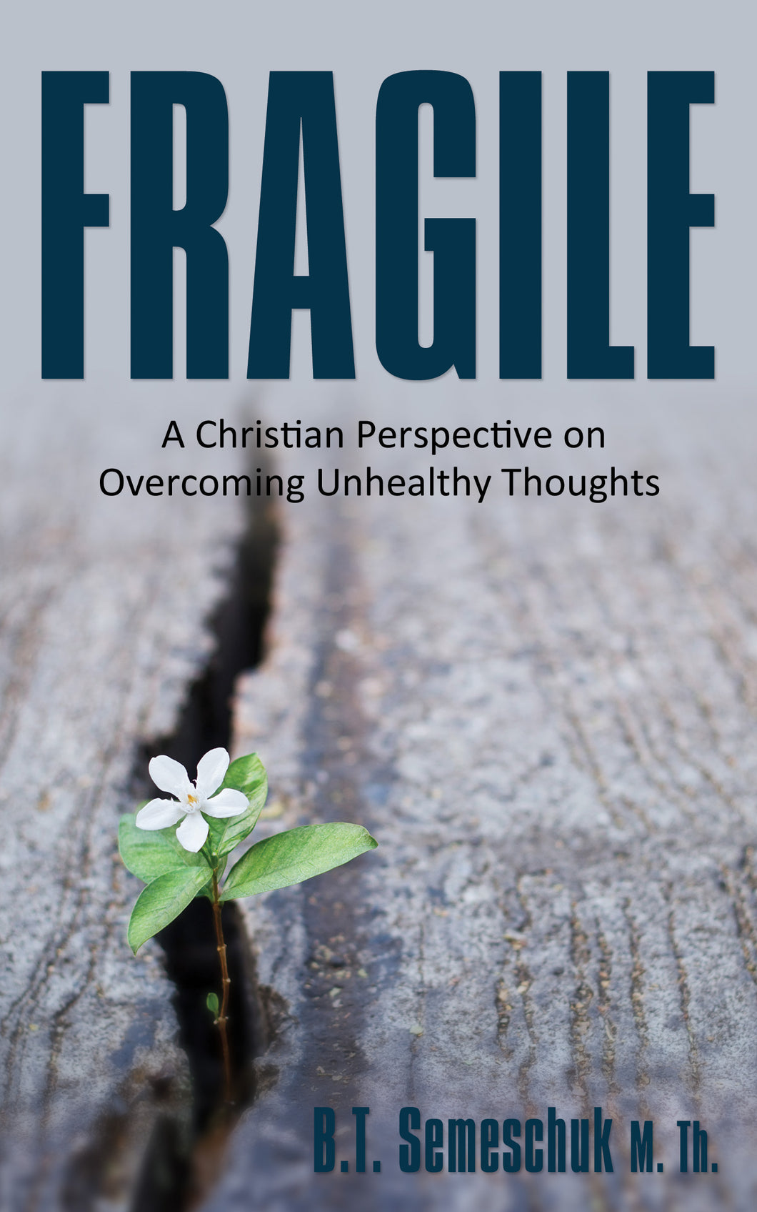 Fragile:<br><small> A Christian Perspective on Overcoming Unhealthy Thoughts</small>