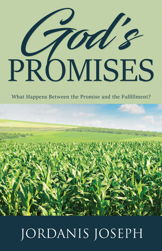 God's Promises: <br><small>What Happens Between the Promise and the Fulfillment?</small>