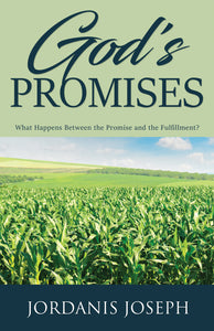 God's Promises: <br><small>What Happens Between the Promise and the Fulfillment?</small>