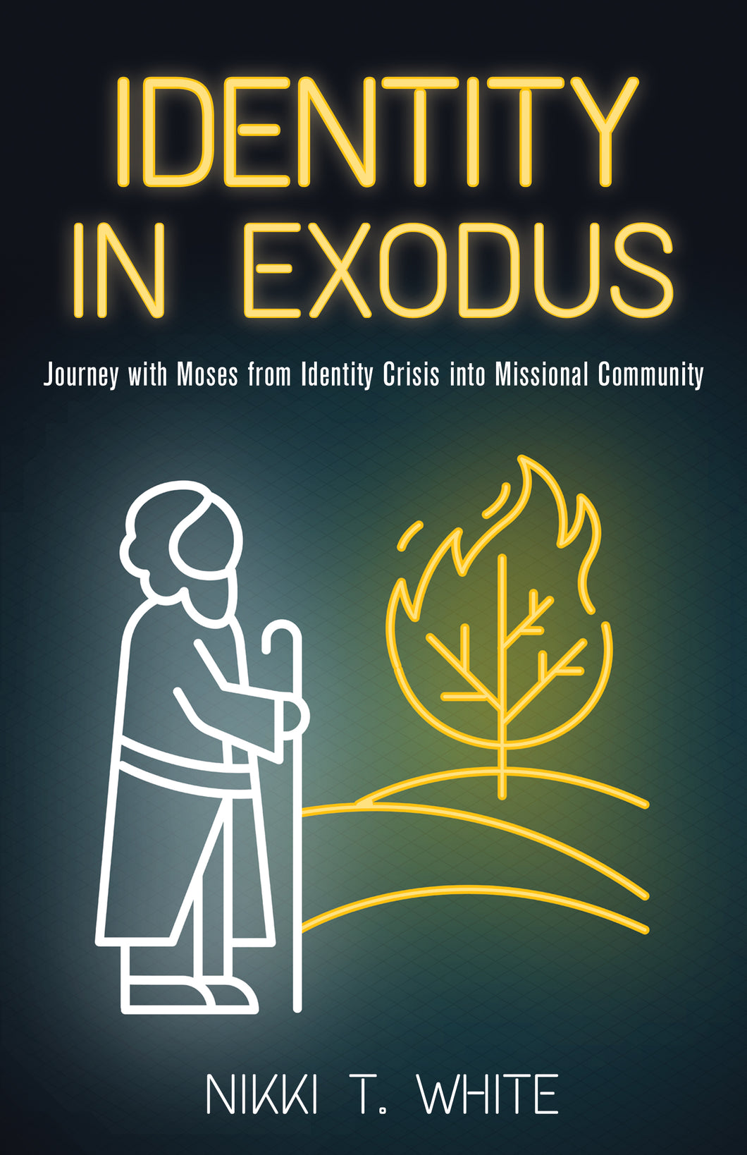 Identity in Exodus:<br><small>Journey with Moses from Identity Crisis into Missional Community</small>